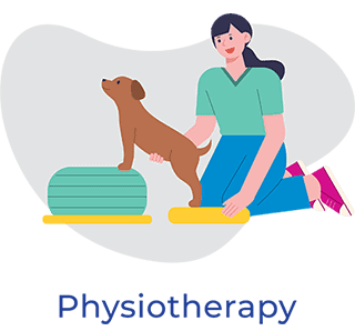 icon referral physiotherapy